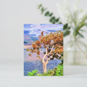 秋 ポストカード (スタンド正面)