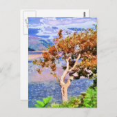 秋 ポストカード (正面/裏面)