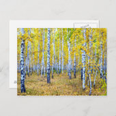 秋 ポストカード (正面/裏面)