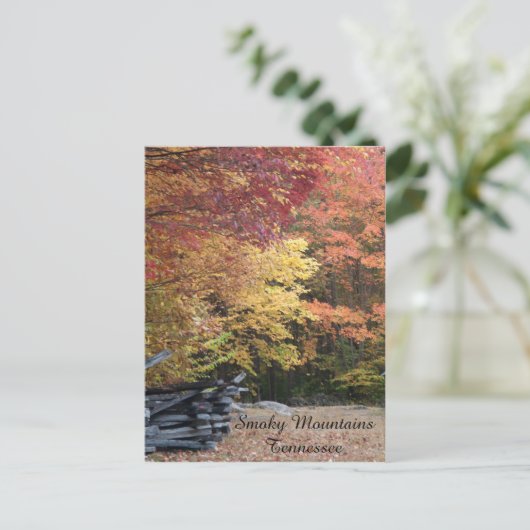 秋 ポストカード (スタンド正面)