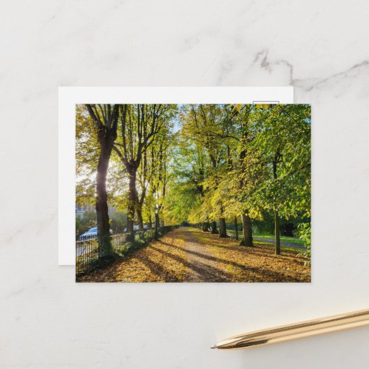 秋 ポストカード (正面/裏面インサイチュ)