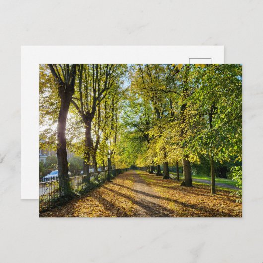 秋 ポストカード (正面/裏面)