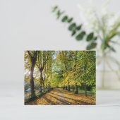 秋 ポストカード (スタンド正面)