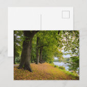 秋 ポストカード (正面/裏面)