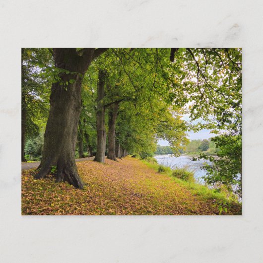 秋 ポストカード (正面)