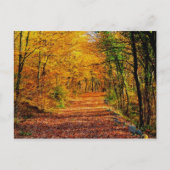 秋 ポストカード (正面)