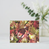 秋 ポストカード (スタンド正面)