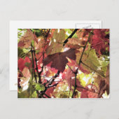 秋 ポストカード (正面/裏面)