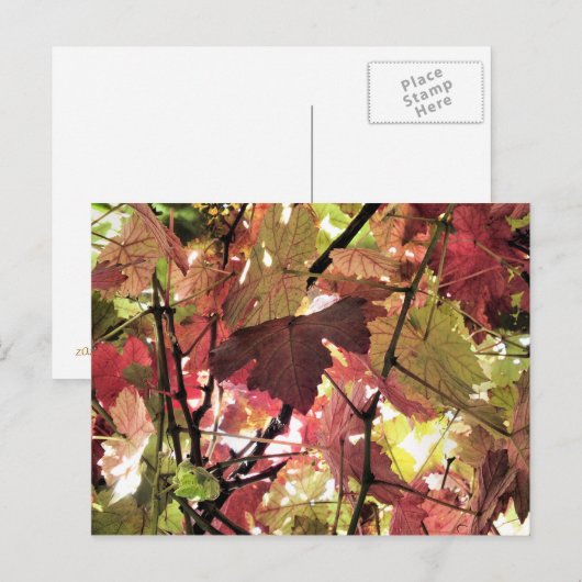 秋 ポストカード (正面/裏面)