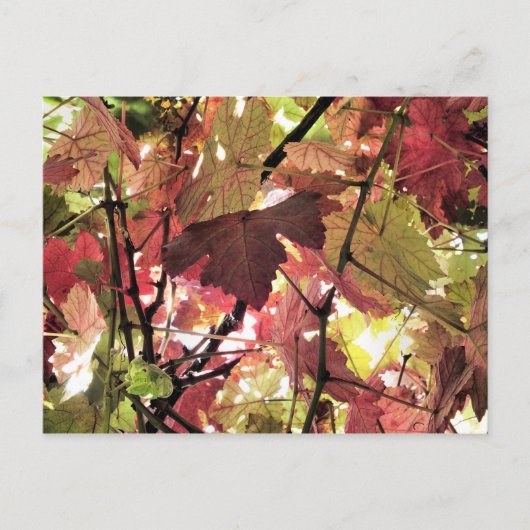 秋 ポストカード (正面)