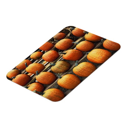 秋 マグネット (左側)