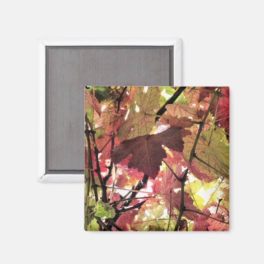 秋 マグネット (正面/裏面)