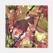 秋 マグネット (正面)