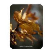 秋 マグネット (縦)