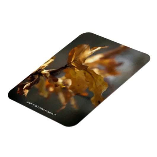 秋 マグネット (左側)