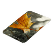 秋 マグネット (左側)