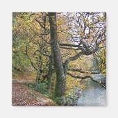 秋 マグネット (正面)