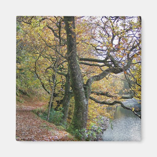 秋 マグネット (正面)