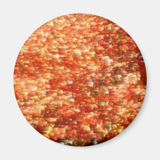 秋 マグネット (正面)