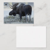 秋 – ムース ノートカード (正面/裏面)