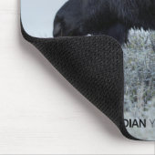 秋 – ムース マウスパッド (コーナー)