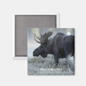 秋-ムース マグネット (正面/裏面)