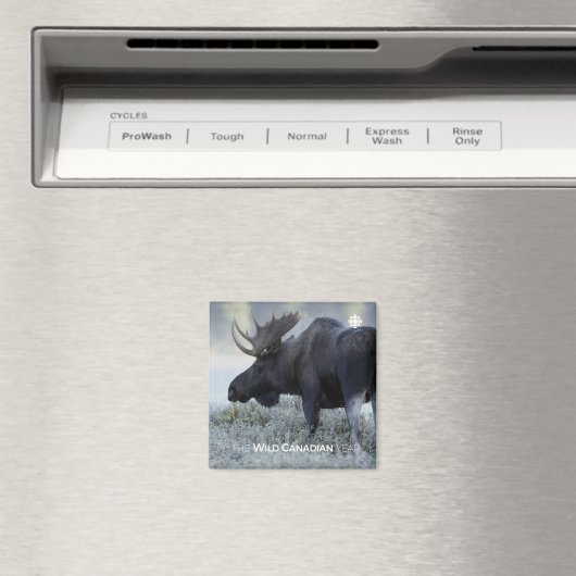 秋-ムース マグネット (インサイチュ (食洗機))