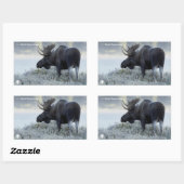 秋 – ムース 長方形シール (シート)