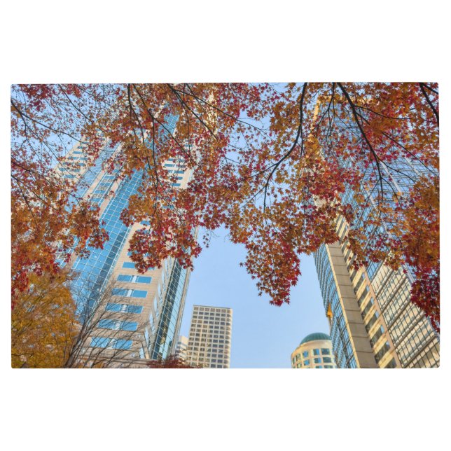 秋 メタルプリント (正面)