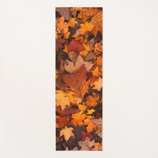 秋 ヨガマット (正面)