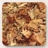 秋，乾いた葉 コースター (正面)