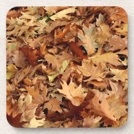 秋，乾いた葉 コースター (正面)