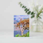 秋 名刺 (スタンド正面)