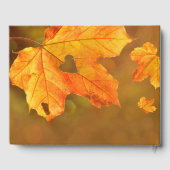 秋 | 愛情に満ちた思い出の秋の葬儀 ゲストブック (裏面)