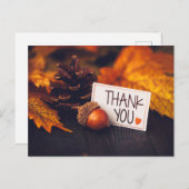 秋 感謝祭 写真撮影 かぼちゃ 写真撮影 ポストカード (正面/裏面)