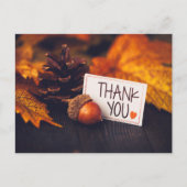 秋 感謝祭 写真撮影 かぼちゃ 写真撮影 ポストカード (正面)