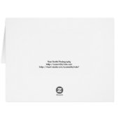 秋 – 感謝祭 – 秋 – 季節 (裏面横)