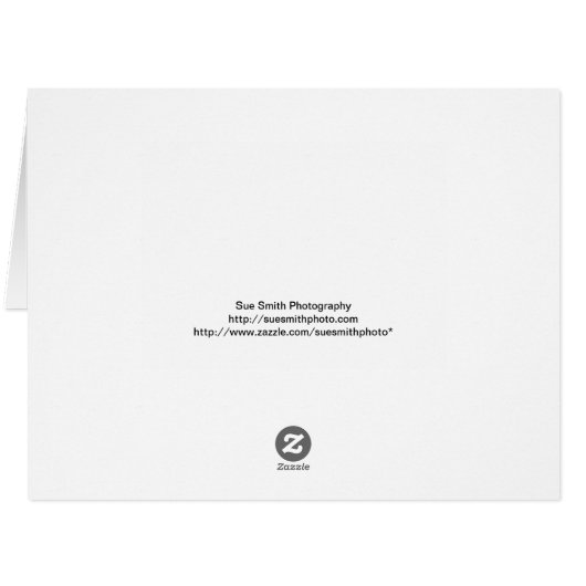 秋 – 感謝祭 – 秋 – 季節 (裏面横)