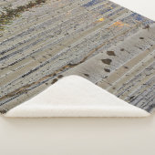 秋《植物》アスペングローブ |コロラドロッキー山脈 シェルパブランケット (3/4)