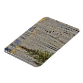 秋《植物》アスペングローブ |コロラドロッキー山脈 マグネット (左側)