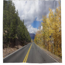 秋《植物》アスペンシャワーカーチ