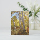 秋《植物》アスペン葉書 ポストカード (スタンド正面)
