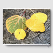 秋《植物》アスペン離れお祝いライフメモリアル ゲストブック (裏面)