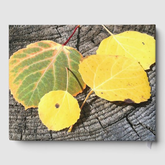 秋《植物》アスペン離れ写真退職メッセージ ゲストブック (裏面)