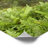 秋、浜久海岸、ハワイ島。 ポスター (角)