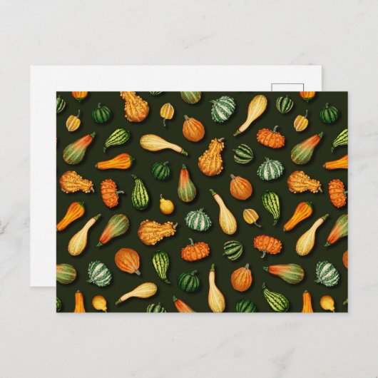 秋、秋、感謝祭の観賞用グルド ポストカード (正面/裏面)