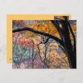 秋/紅葉 ポストカード (正面/裏面)
