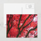 秋、紅葉 ポストカード (正面/裏面)