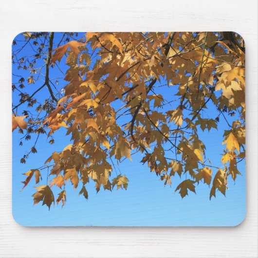秋、紅葉、木々と青空 マウスパッド (正面)
