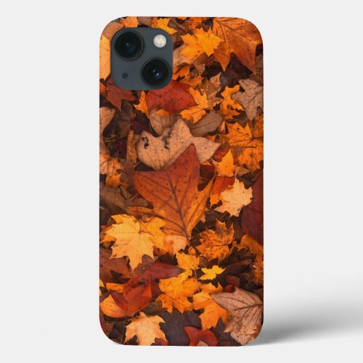 秋、離れ紅葉 Case-Mate iPhoneケース (裏面)